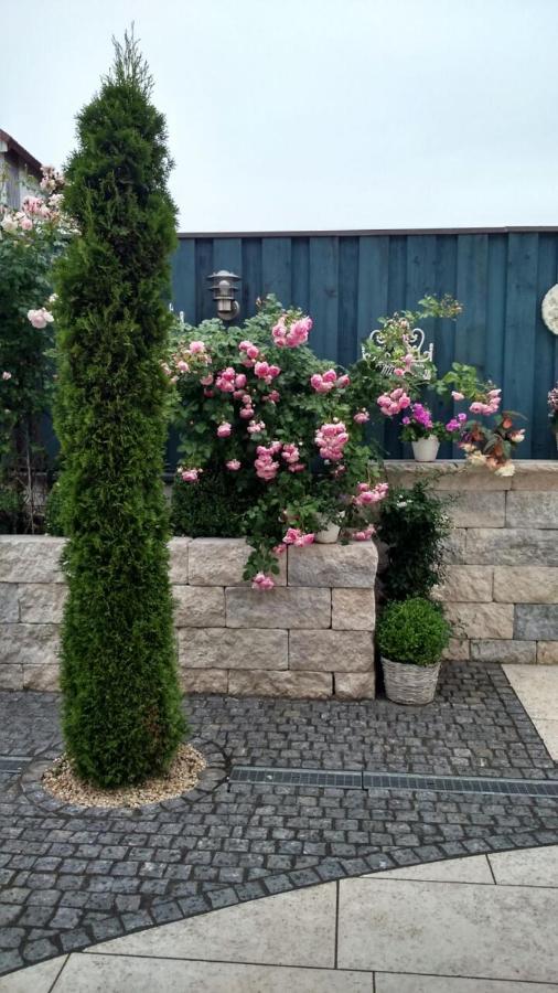 Pension Dorfstrasse 6 Stetten  Екстер'єр фото